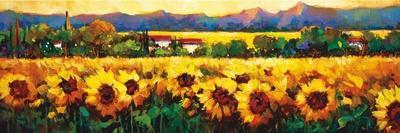 Evening Glow Tuscany-Nancy O'toole-Stretched Canvas