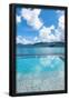 Essential Black