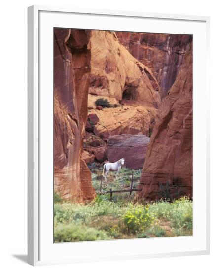 Framed Photographic Print, , large