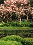Reflecting Pond, Imperial Palace East Gardens, Tokyo, Japan-Nancy & Steve Ross-Photographic Print