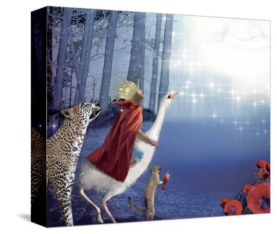 Stretched Canvas Print, , large