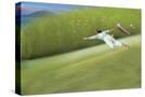 Stretched Canvas