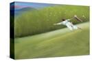 Stretched Canvas