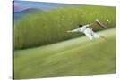 Stretched Canvas