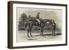 Nancy, Winner of the Goodwood Cup, 1851-Benjamin Herring-Framed Giclee Print