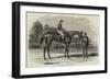 Nancy, Winner of the Goodwood Cup, 1851-Benjamin Herring-Framed Giclee Print