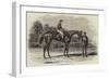 Nancy, Winner of the Goodwood Cup, 1851-Benjamin Herring-Framed Giclee Print