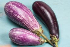 Eggplants-nancykennedy-Photographic Print