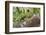 Nanday parakeet-Ken Archer-Framed Photographic Print