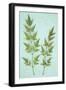 Nandina Domestica-Den Reader-Framed Photographic Print