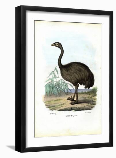 Nandu, 1863-79-Raimundo Petraroja-Framed Giclee Print