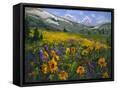 Canvas Black