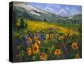 Stretched Canvas