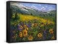 Canvas Black