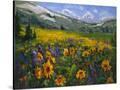 Stretched Canvas