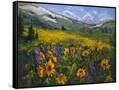 Canvas Black