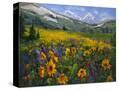 Stretched Canvas