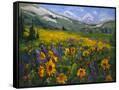 Canvas Black