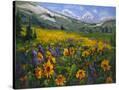 Stretched Canvas