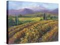 Stretched Canvas