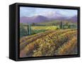 Canvas Black