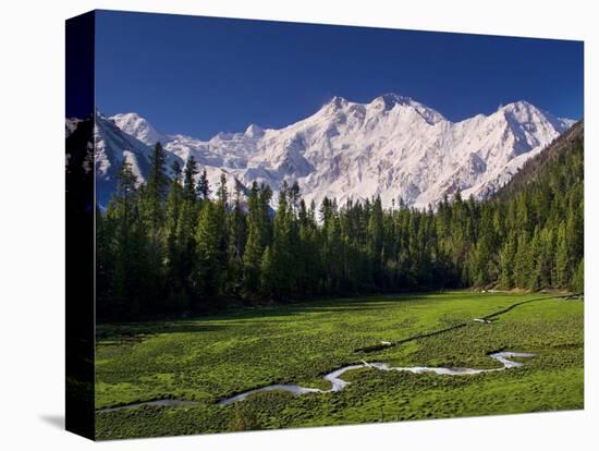 Nanga Parbat, from Fairy Meadows, Diamir District, Pakistan-Michele Falzone-Stretched Canvas