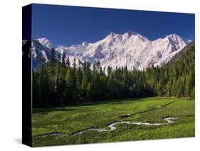 Nanga Parbat, from Fairy Meadows, Diamir District, Pakistan-Michele Falzone-Stretched Canvas