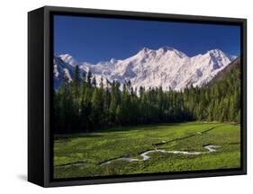 Nanga Parbat, from Fairy Meadows, Diamir District, Pakistan-Michele Falzone-Framed Stretched Canvas