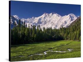 Nanga Parbat, from Fairy Meadows, Diamir District, Pakistan-Michele Falzone-Stretched Canvas