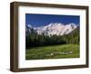 Nanga Parbat, from Fairy Meadows, Diamir District, Pakistan-Michele Falzone-Framed Photographic Print