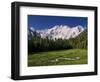 Nanga Parbat, from Fairy Meadows, Diamir District, Pakistan-Michele Falzone-Framed Photographic Print