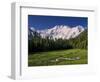 Nanga Parbat, from Fairy Meadows, Diamir District, Pakistan-Michele Falzone-Framed Photographic Print