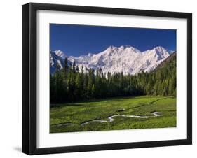 Nanga Parbat, from Fairy Meadows, Diamir District, Pakistan-Michele Falzone-Framed Photographic Print