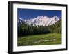 Nanga Parbat, from Fairy Meadows, Diamir District, Pakistan-Michele Falzone-Framed Photographic Print