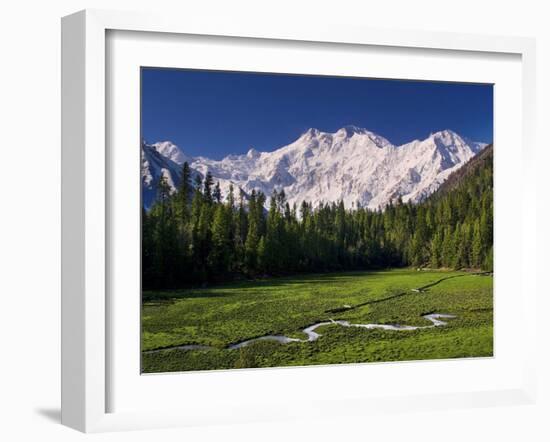Nanga Parbat, from Fairy Meadows, Diamir District, Pakistan-Michele Falzone-Framed Photographic Print