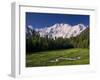 Nanga Parbat, from Fairy Meadows, Diamir District, Pakistan-Michele Falzone-Framed Photographic Print