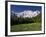 Nanga Parbat, from Fairy Meadows, Diamir District, Pakistan-Michele Falzone-Framed Photographic Print