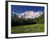 Nanga Parbat, from Fairy Meadows, Diamir District, Pakistan-Michele Falzone-Framed Photographic Print