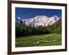 Nanga Parbat, from Fairy Meadows, Diamir District, Pakistan-Michele Falzone-Framed Photographic Print