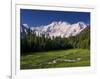 Nanga Parbat, from Fairy Meadows, Diamir District, Pakistan-Michele Falzone-Framed Photographic Print