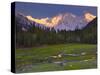 Nanga Parbat, from Fairy Meadows, Diamir District, Pakistan-Michele Falzone-Stretched Canvas