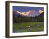 Nanga Parbat, from Fairy Meadows, Diamir District, Pakistan-Michele Falzone-Framed Photographic Print