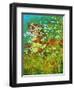 Nannys Garden-Herb Dickinson-Framed Photographic Print