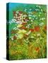 Nannys Garden-Herb Dickinson-Stretched Canvas