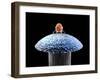 Nanorobot on Pin-Christian Darkin-Framed Premium Photographic Print