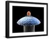 Nanorobot on Pin-Christian Darkin-Framed Premium Photographic Print