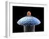 Nanorobot on Pin-Christian Darkin-Framed Premium Photographic Print