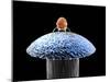 Nanorobot on Pin-Christian Darkin-Mounted Premium Photographic Print