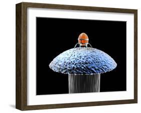 Nanorobot on Pin-Christian Darkin-Framed Photographic Print