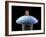 Nanorobot on Pin-Christian Darkin-Framed Photographic Print